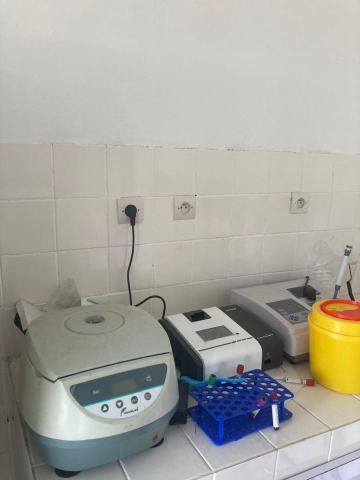 IMG-20260509-WA0079